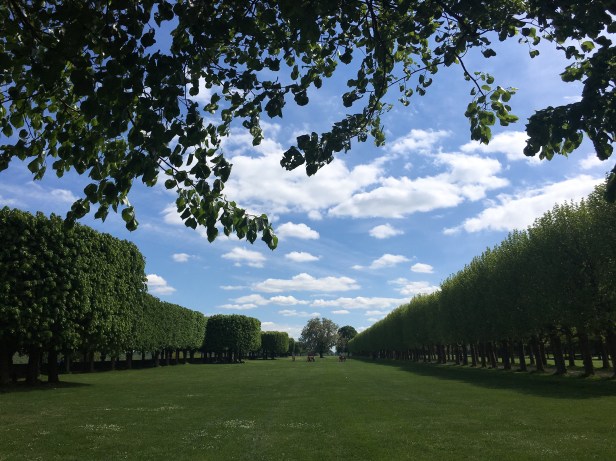 Meudon Park clouds trees blue skies 