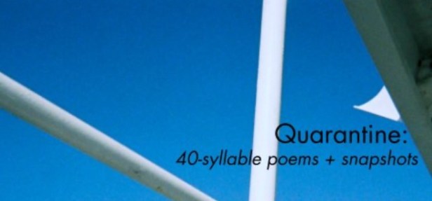 Quarantine book of poems cover
