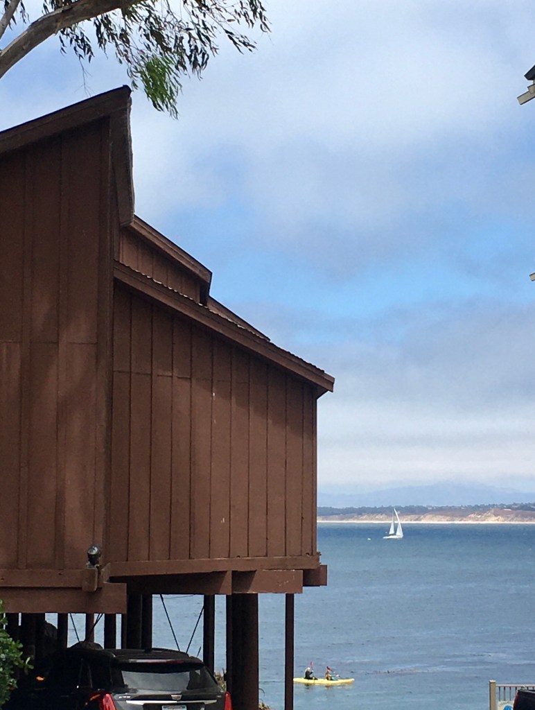 sailboat in Monterey Bay